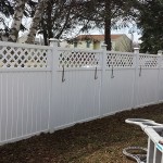 VInyl Fence After