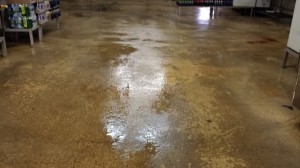 Warehouse After Power Washing