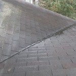 Roof Before Cleaning