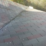 Roof After Cleaning