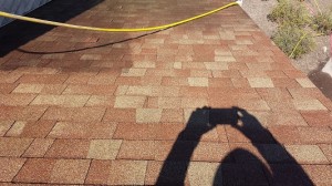 Roof Before Cleaning