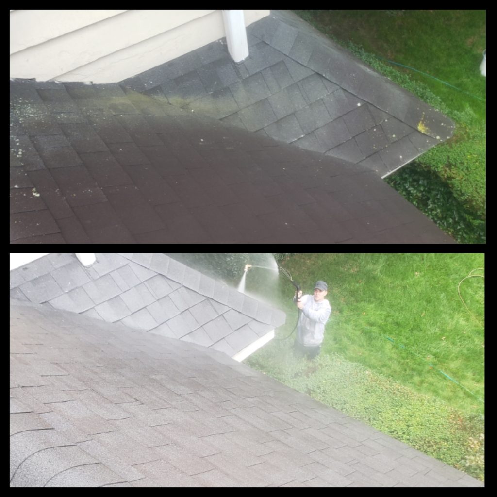 Ardmore Roof Cleaning