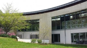 Concrete Pressure Washing Before