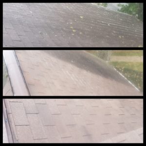 Hatfield Roof Washing