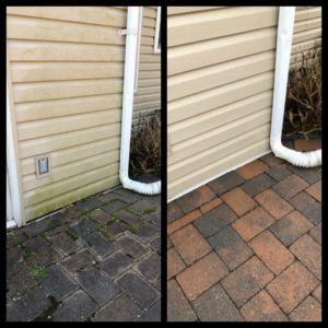 audobon power washing